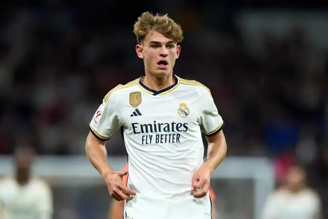 形成了多样 形成了多样