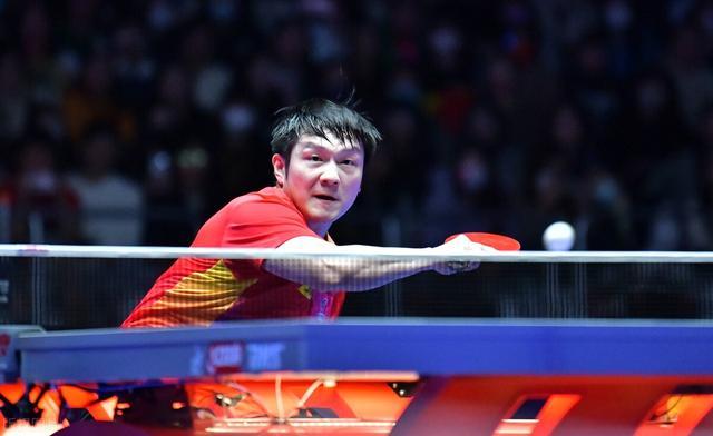 王楚钦在场 王楚钦在场